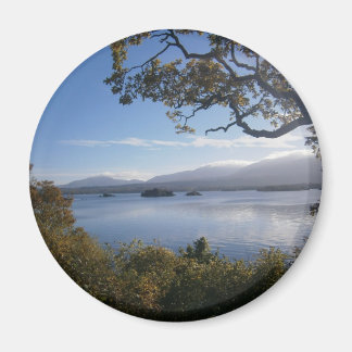 Aimant lac et arbres.JPG