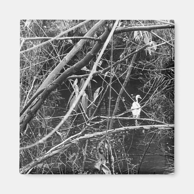 Aimant lac george (Devant)