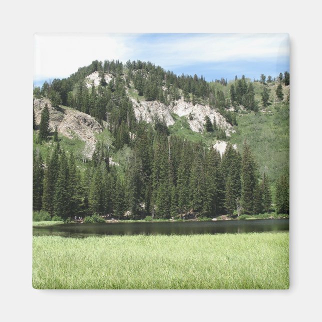 Aimant Lac Silver (Devant)