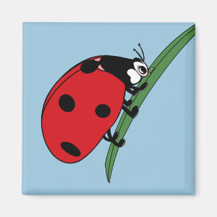 Aimant Ladybug à la soif