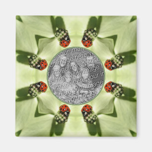 Aimant Ladybug Sur Dogwood Nature Ajouter Votre Photo