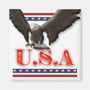 Aimant L'aigle patriotique des Etats-Unis tient le