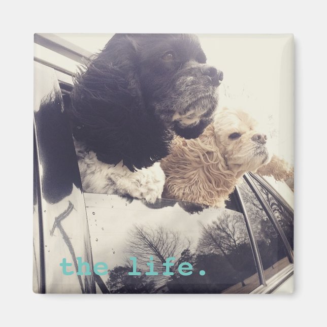 Aimant l'aimant de la bonne vie (Devant)