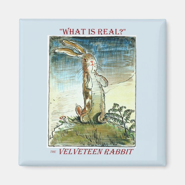 Aimant L'aimant de lapin Velveteen (Devant)