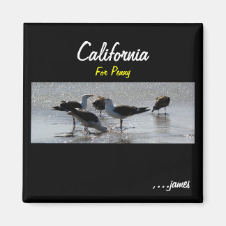 Aimant L'aimant de Penny