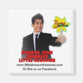 Aimant L'aimant de Richard Chan