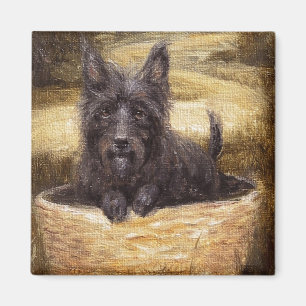 Aimant L'aimant fidèle de compagnon