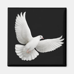 Aimant L'aimant Peace Dove
