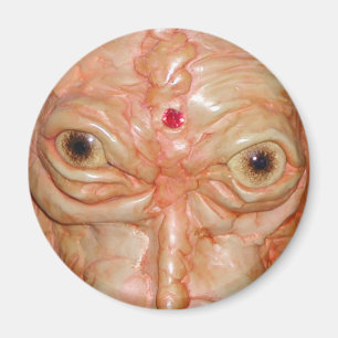 Aimant L'aimant rond, "démon Brown observe "