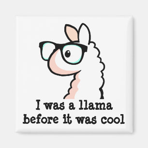 Aimant Lama de hippie