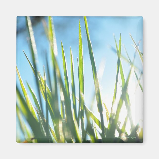 Aimant Lames éclairées (Devant)