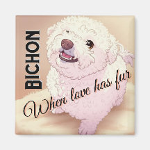 L'amour a du poil Bichon 