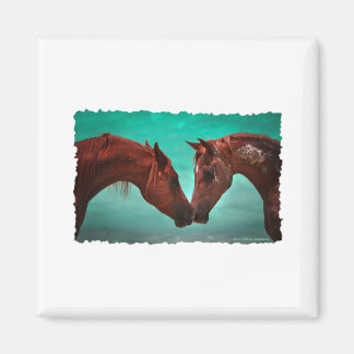 Aimant L'amour du cheval