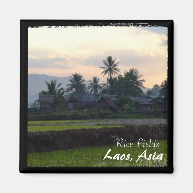 Aimant Laos, Coucher de soleil au-dessus des rizières (Ma (Devant)