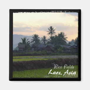 Aimant Laos, Sunset above rice fields (Magnet)