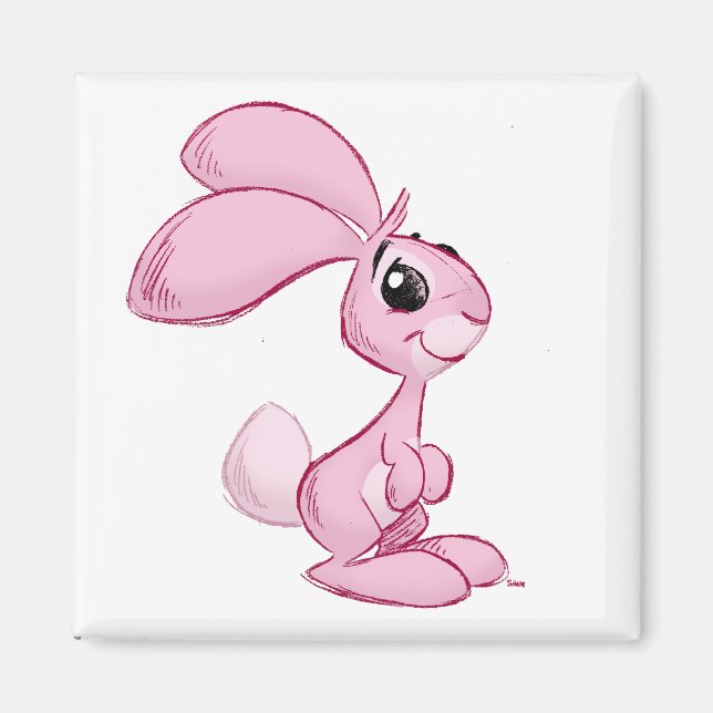 Aimant lapin (Devant)