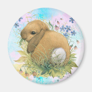 Aimant Lapin