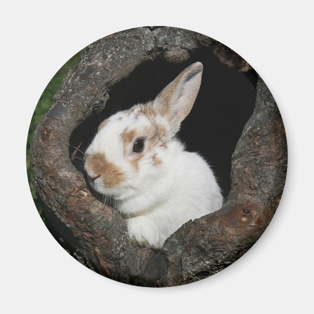 Aimant Lapin encadré (Devant)