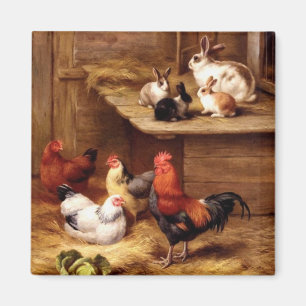 Aimant Lapins d'animaux de ferme de poules de coq de
