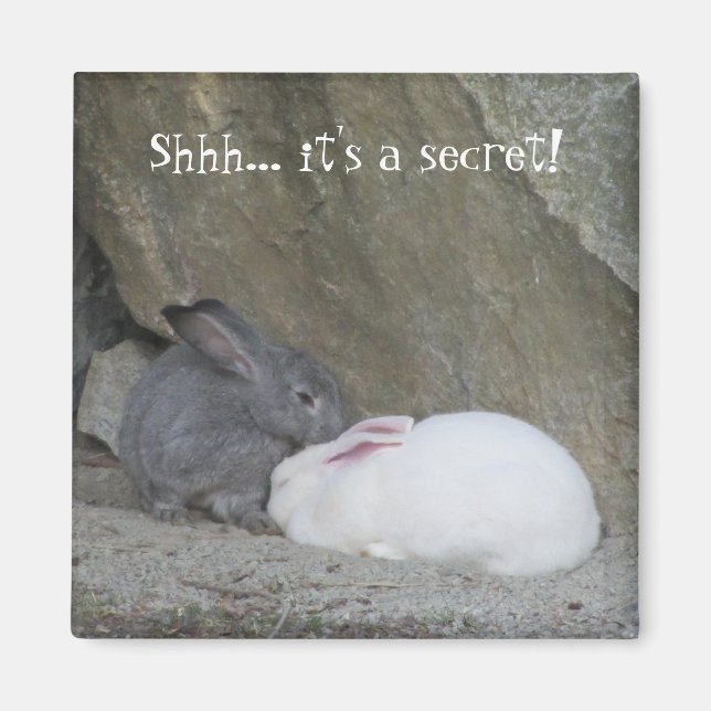 Aimant Lapins de lapin mignet avec des paroles (Devant)