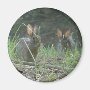 Aimant Lapins Sauvages Paire de Lapin de Cottontail Orien