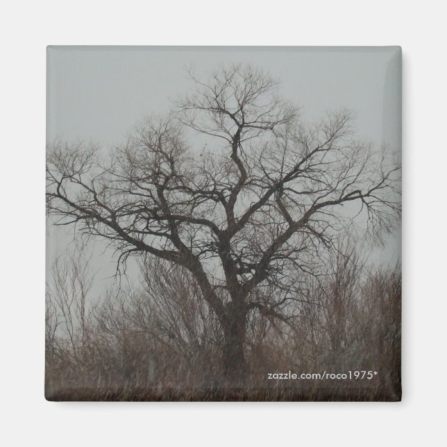 Aimant L'arbre (Devant)