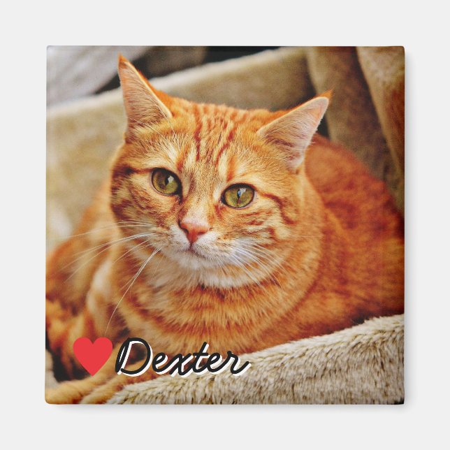 Aimant Large Personalized Pet Photo (Devant)