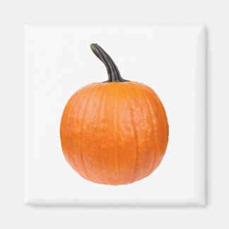 Aimant Large Pumkin