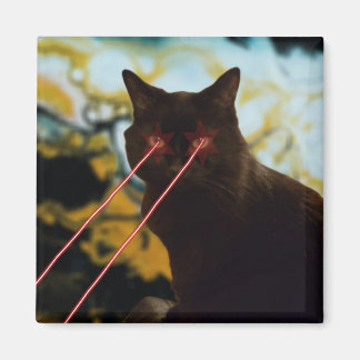 Aimant laser à chat