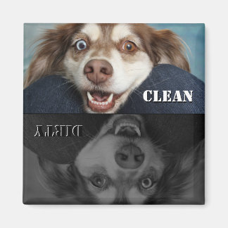 Aimant Lave-vaisselle pour chiot nettoyant