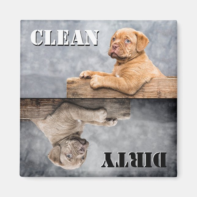 Aimant Lave-vaisselle pour chiot nettoyant (Devant)