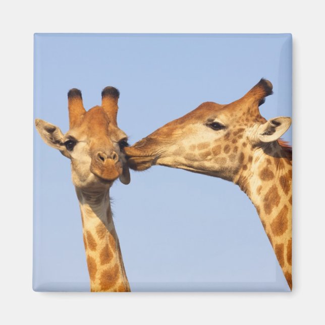 Aimant Le baiser (Devant)