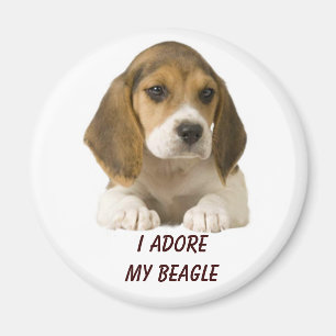 Aimant Le beagle adorent l'aimant