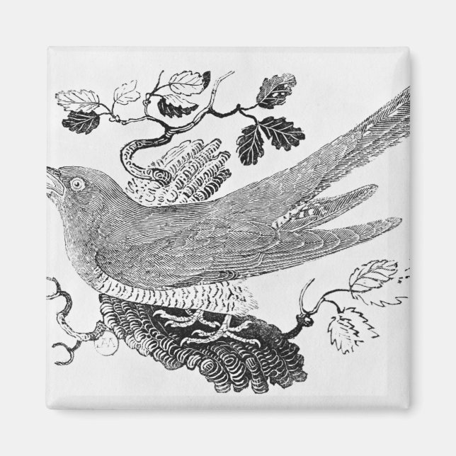 Aimant Le cacao (Devant)