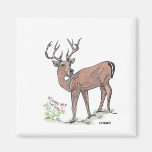 Aimant Le Cerf