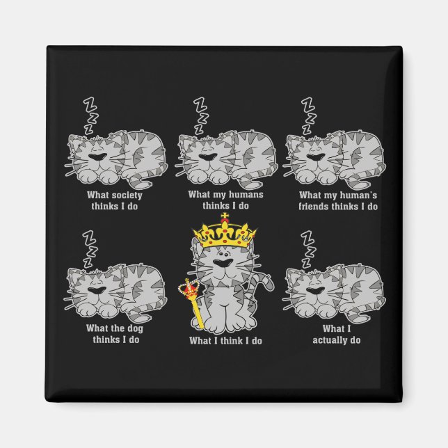 Aimant Le chat (Devant)