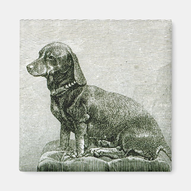 Aimant Le chien Jacob (Devant)