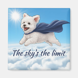 Aimant Le ciel est la limite