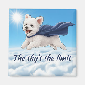 Aimant Le ciel est la limite