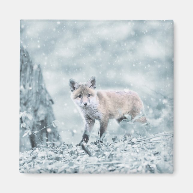 Aimant Le club Fox dans la neige (Devant)