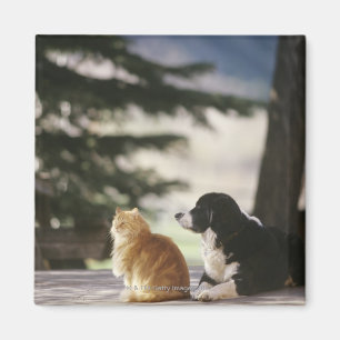 Aimant Le Colorado occidental, Etats-Unis