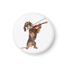 Le Dachshund À poils durs Jouant Un Violon