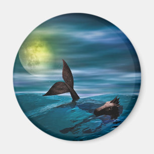 Aimant Le dernier hippocampe