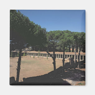 Aimant Le grand Palaestra