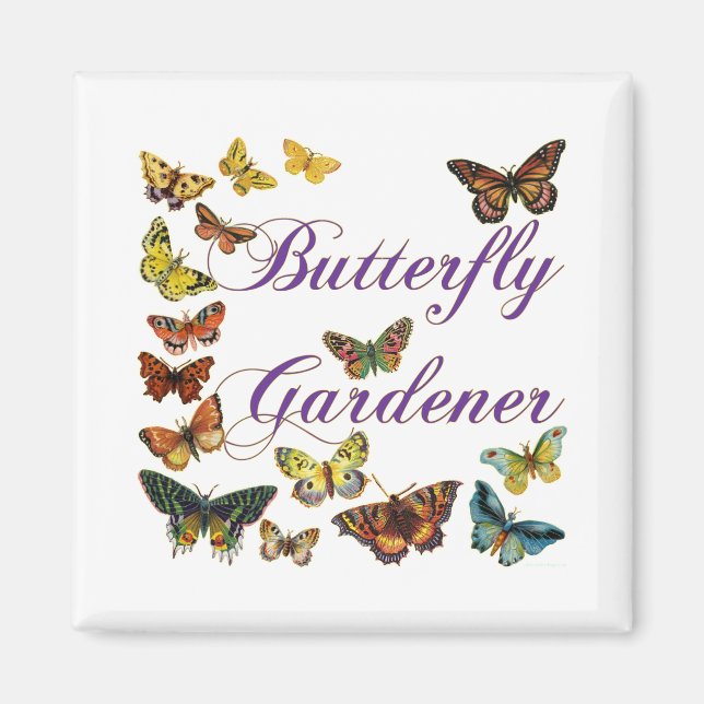 Aimant Le jardinier papillon dit : (Devant)