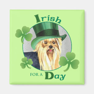 Aimant Le jour Yorkie de St Patrick