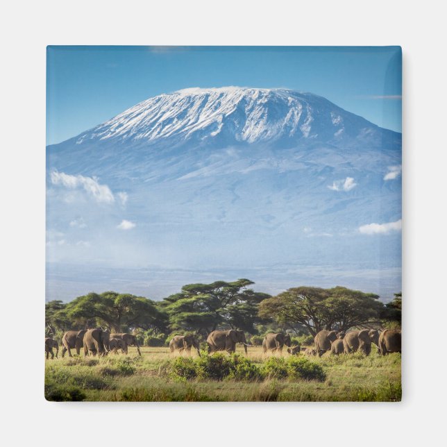 Aimant Le Kilimandjaro (Devant)