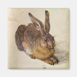 Aimant Le LAPIN (jeunes lièvres)