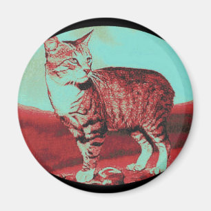 Aimant le Manx Cat