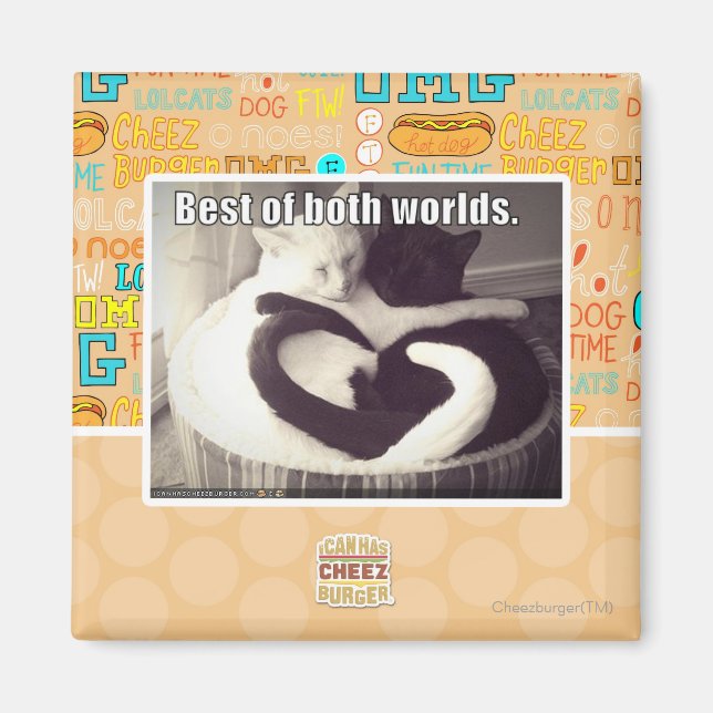 Aimant Le meilleur des deux mondes. (Devant)